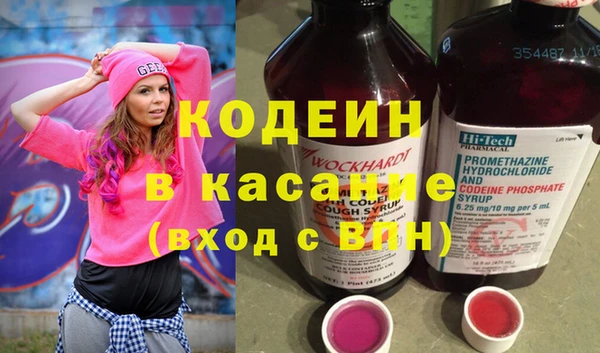 крисы Осинники