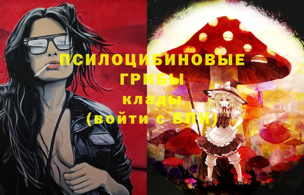 крисы Осинники