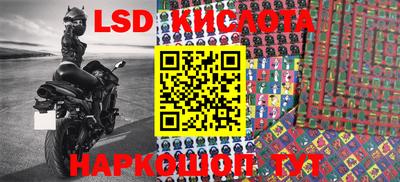 PSILOCYBIN Кандалакша